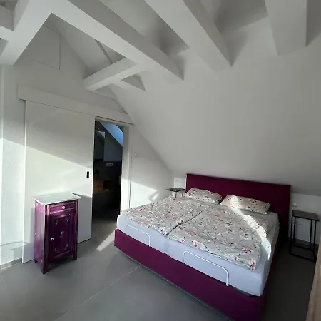 Apartment Neubau Mit 2 Terrassen *