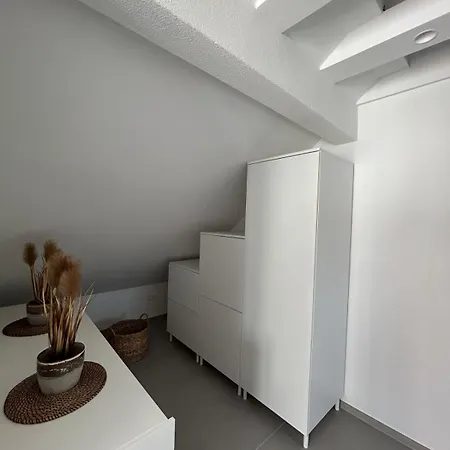 Apartment Neubau Mit 2 Terrassen